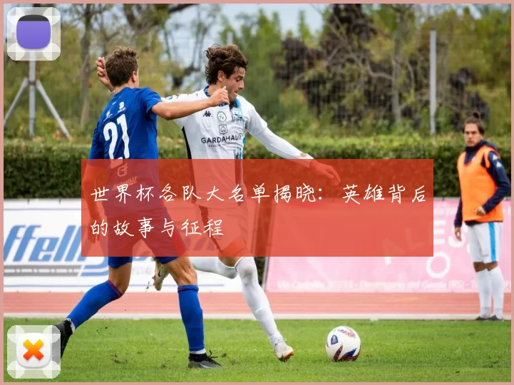 世界杯各队大名单揭晓：英雄背后的故事与征程