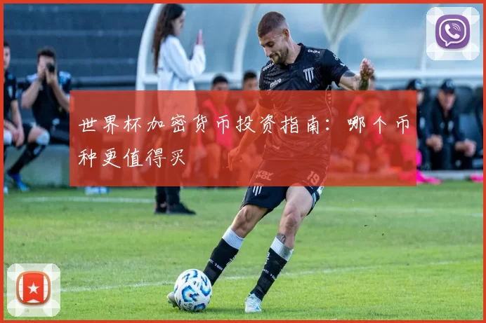 世界杯加密货币投资指南：哪个币种更值得买