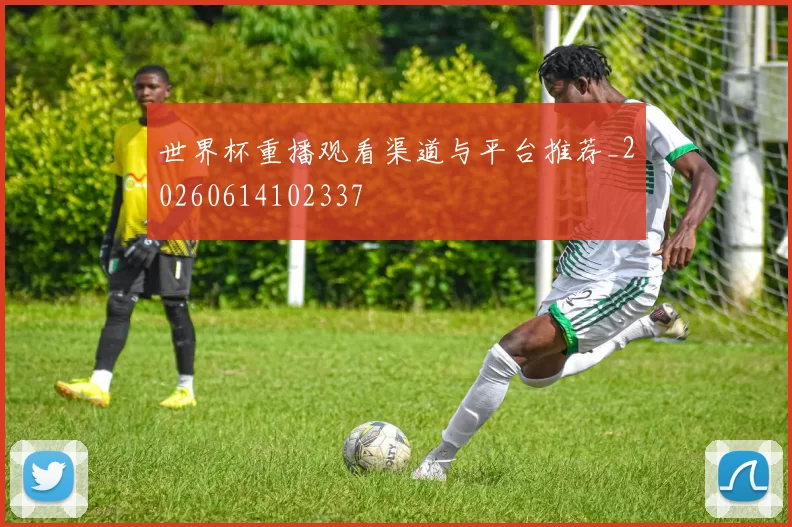 世界杯重播观看渠道与平台推荐_20260614102337