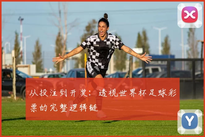 从投注到开奖：透视世界杯足球彩票的完整逻辑链