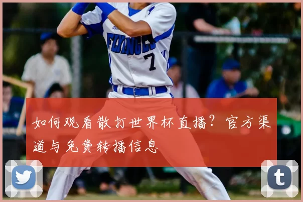 如何观看散打世界杯直播？官方渠道与免费转播信息