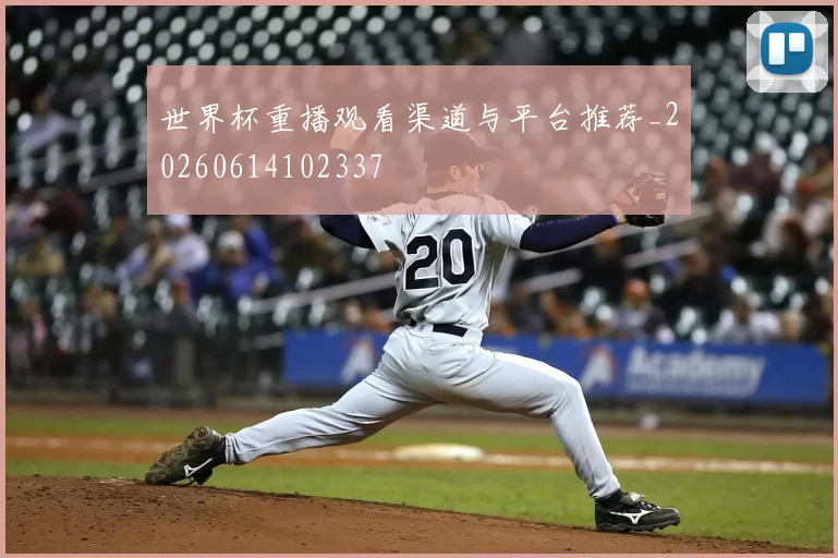 世界杯重播观看渠道与平台推荐_20260614102337