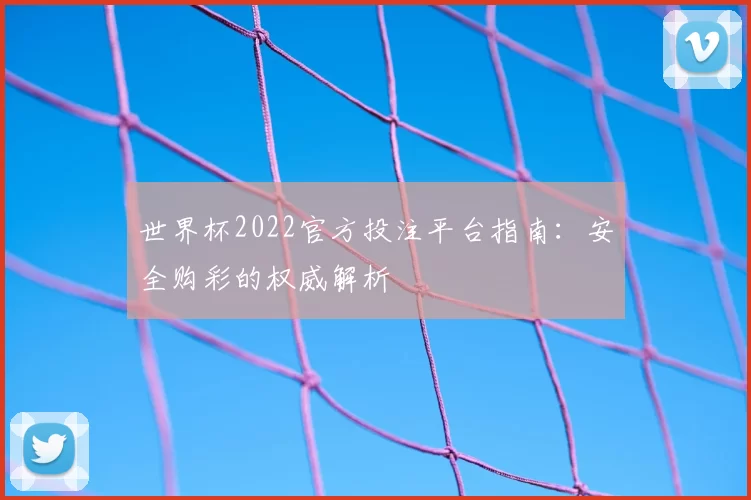 世界杯2022官方投注平台指南：安全购彩的权威解析