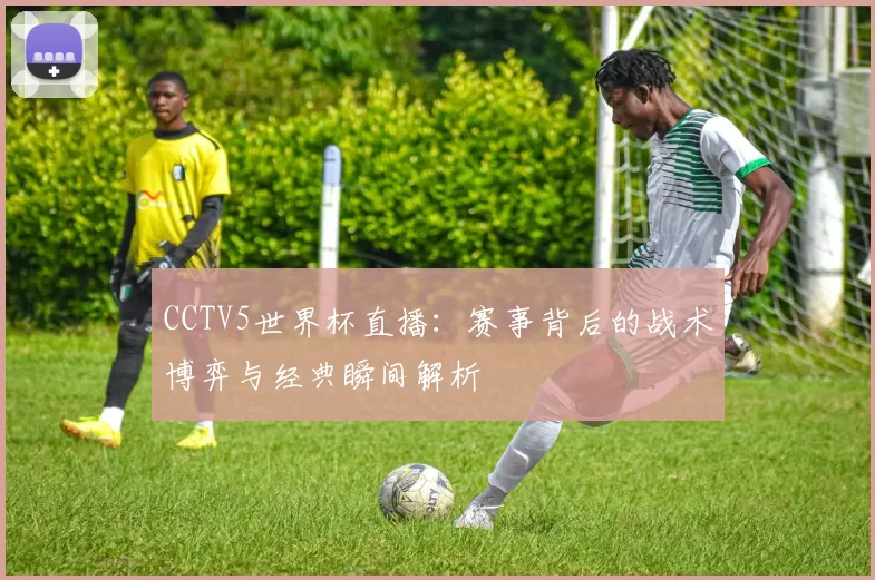 CCTV5世界杯直播：赛事背后的战术博弈与经典瞬间解析