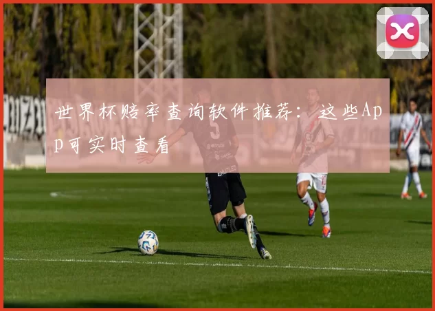 世界杯赔率查询软件推荐：这些App可实时查看