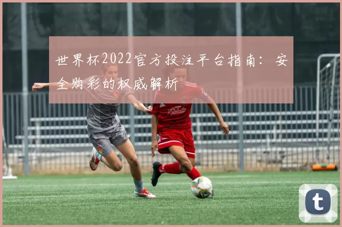 世界杯2022官方投注平台指南：安全购彩的权威解析