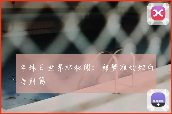 年韩日世界杯秘闻：郑梦准的坦白与纠葛
